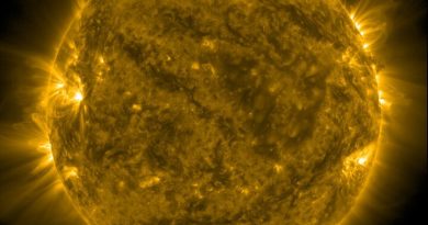 Coronal Mass Ejection impact fish