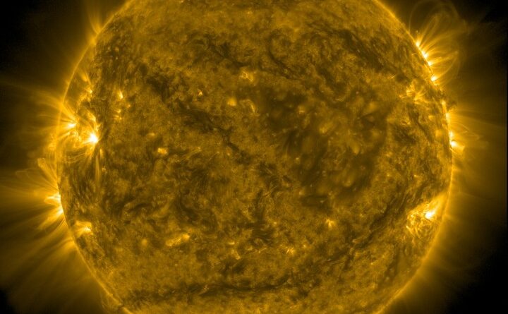 Coronal Mass Ejection impact fish