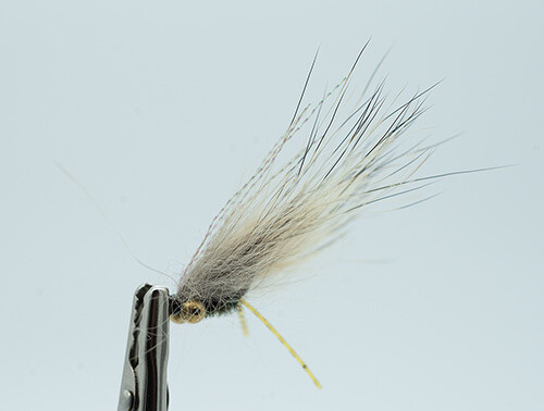 carp fly the coyote carp fly catches carp