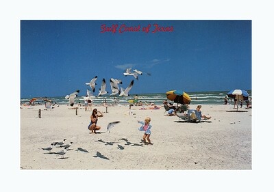 Vintage Postcards Texas Gulf Coast - South Padre Island 1970's
