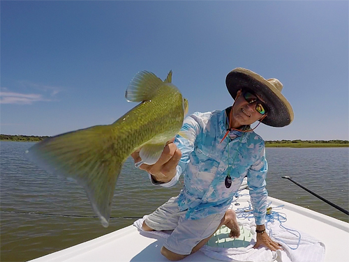DFW fly fishing bass on fly