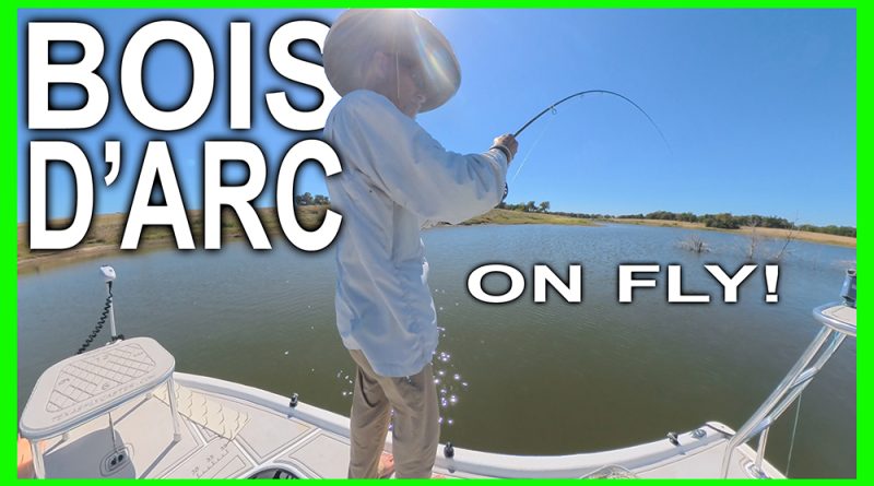 bois d'arc fly fishing