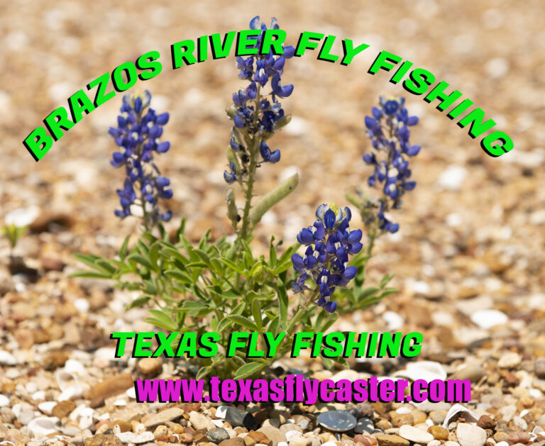 Brazos Fly Fishing