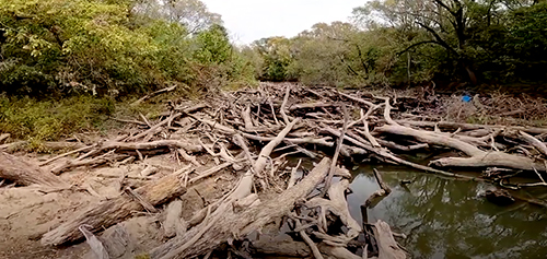 Denton 380 Greenbelt Log Jam