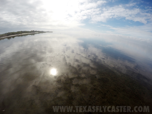 wade fishing galveston texas