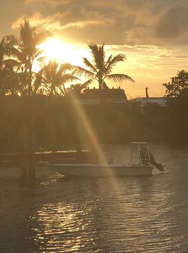 Marathon Florida fly fishing
