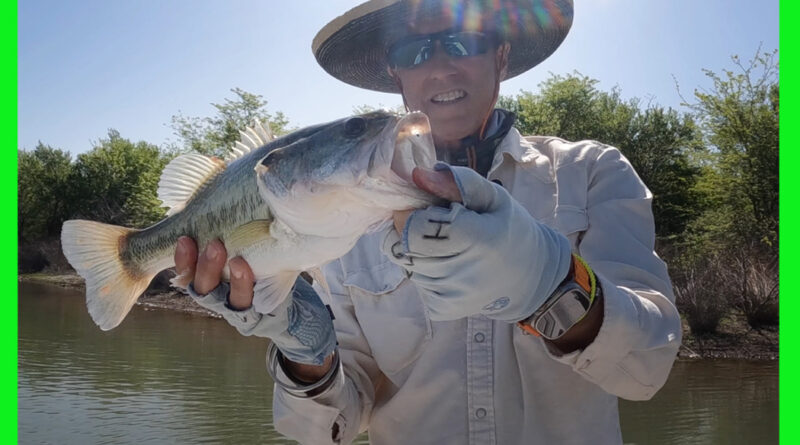 Lake Ray Roberts spring bass 2025