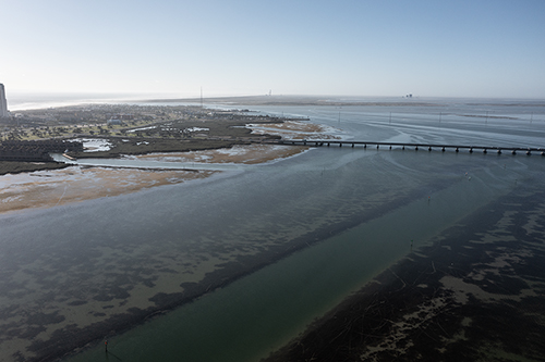 lower laguna madre low winter tide