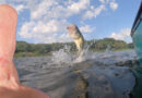 pond bass thumb montague county texas