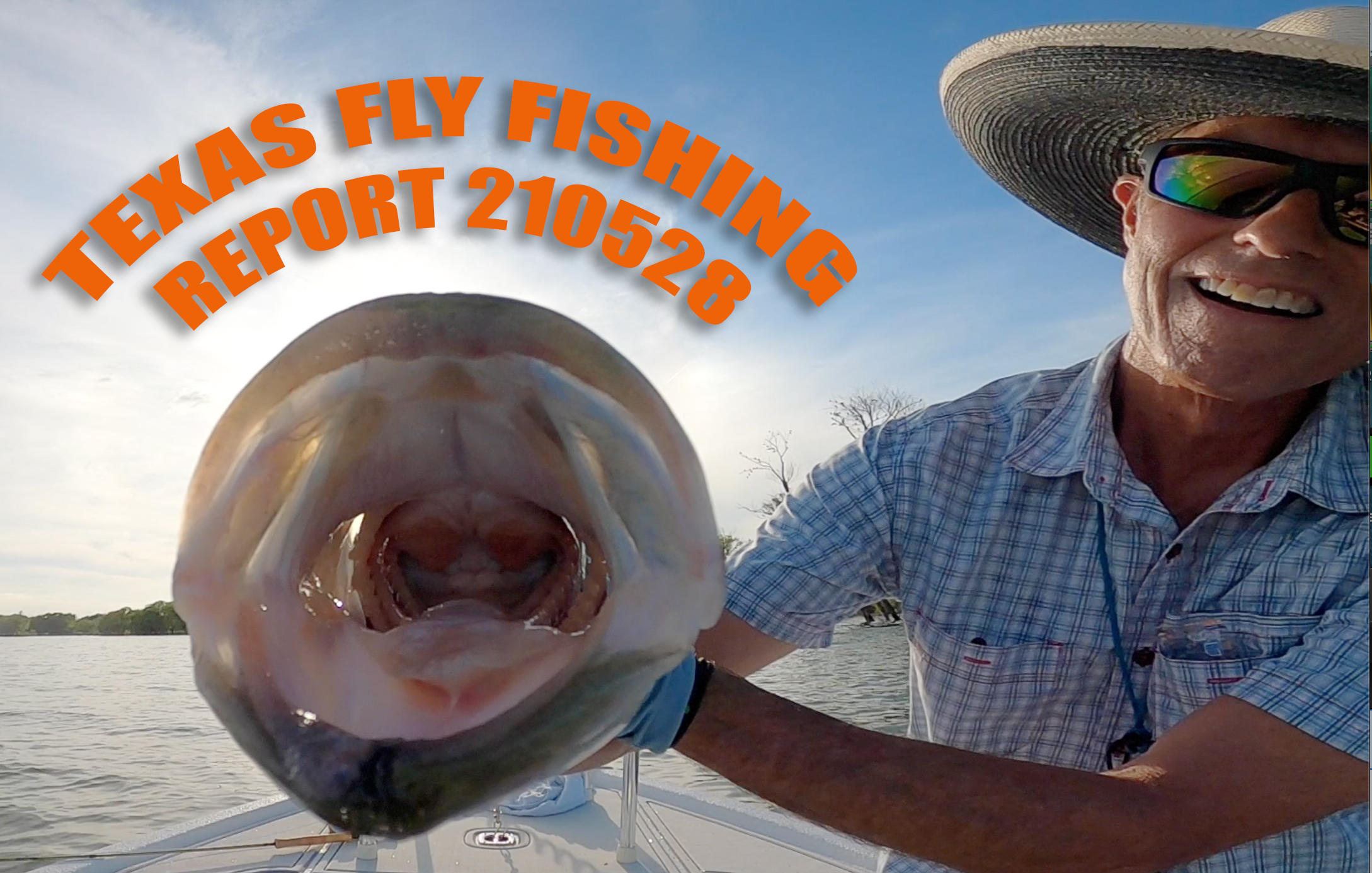 Bass on Fly