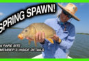 carp on fly