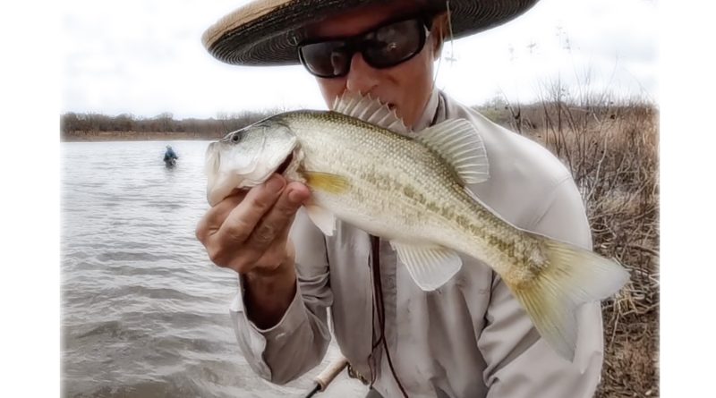fly fishing for bass dfw bass on fly