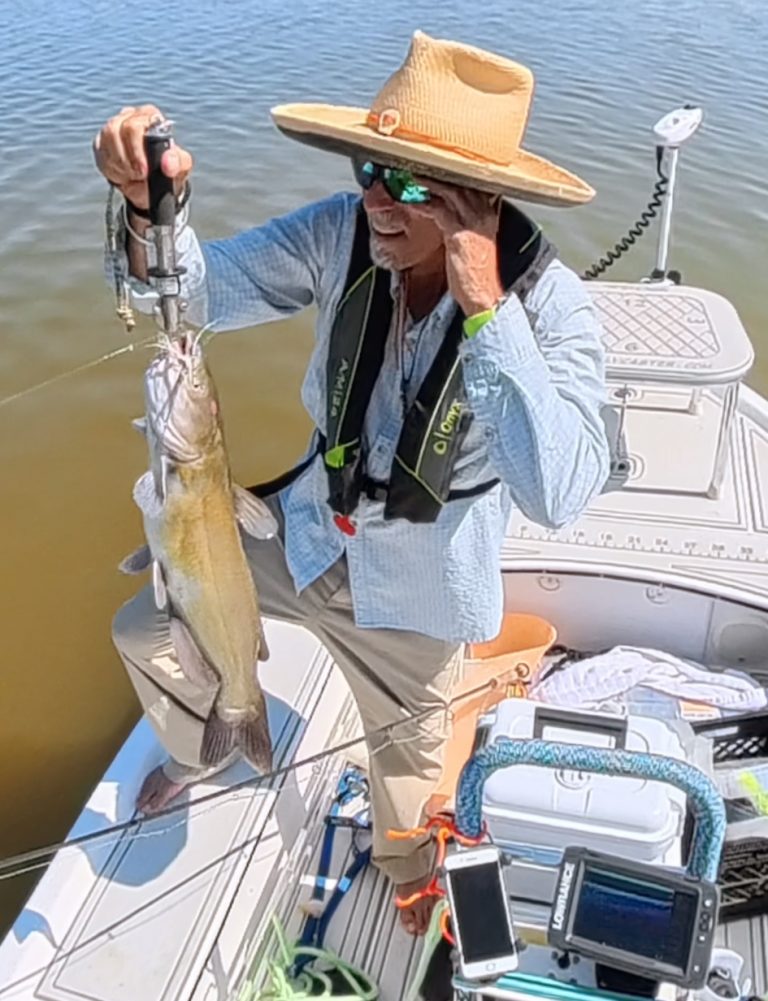 Texoma catfish on fly rod