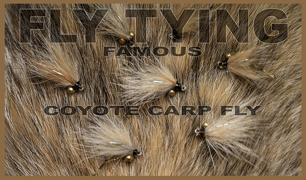 The Coyote Carp Fly