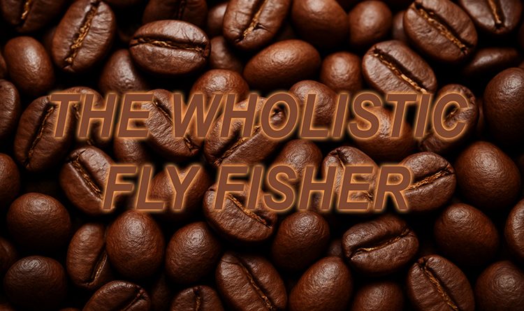 wholistic coffee beans