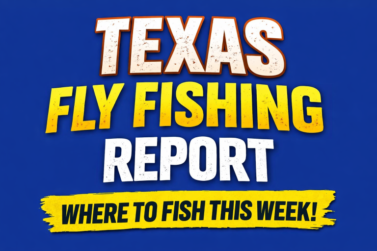 forecast fishing texas the week ahead